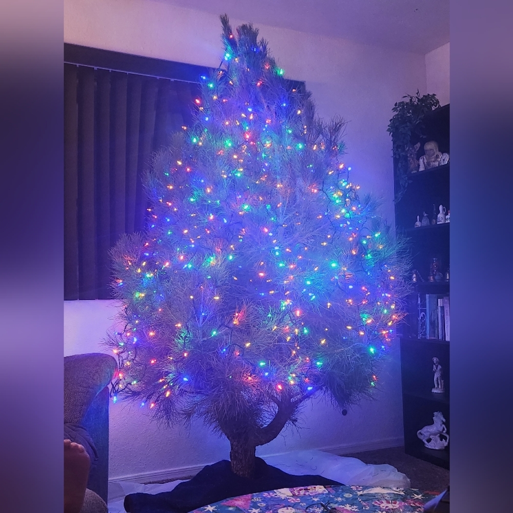 Flyer Please Like for Notifications